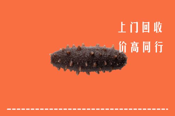 高价求购：烟台市牟平区回收海参