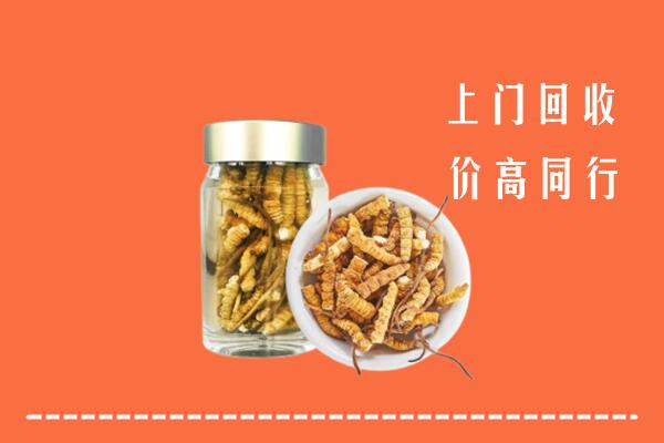 烟台市牟平区回收冬虫夏草